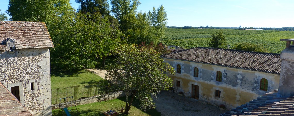 vineyard view