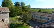 vineyard view